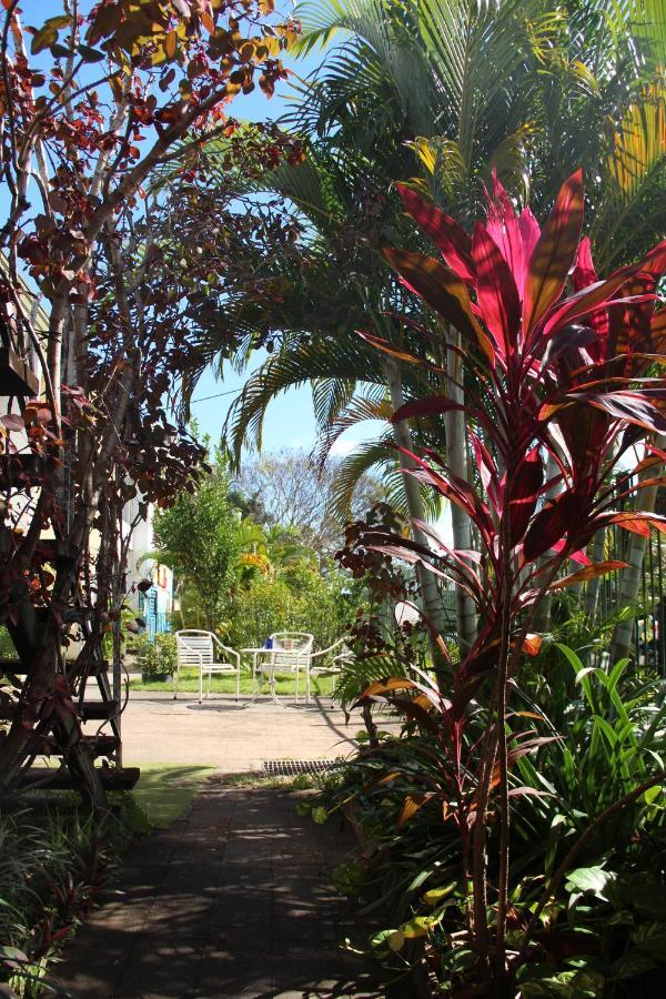 Asylum Cairns Share House Hostel Luaran gambar